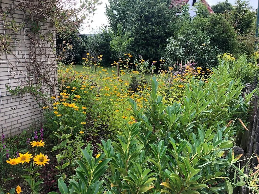 Fewo-Schnoor Lübeck